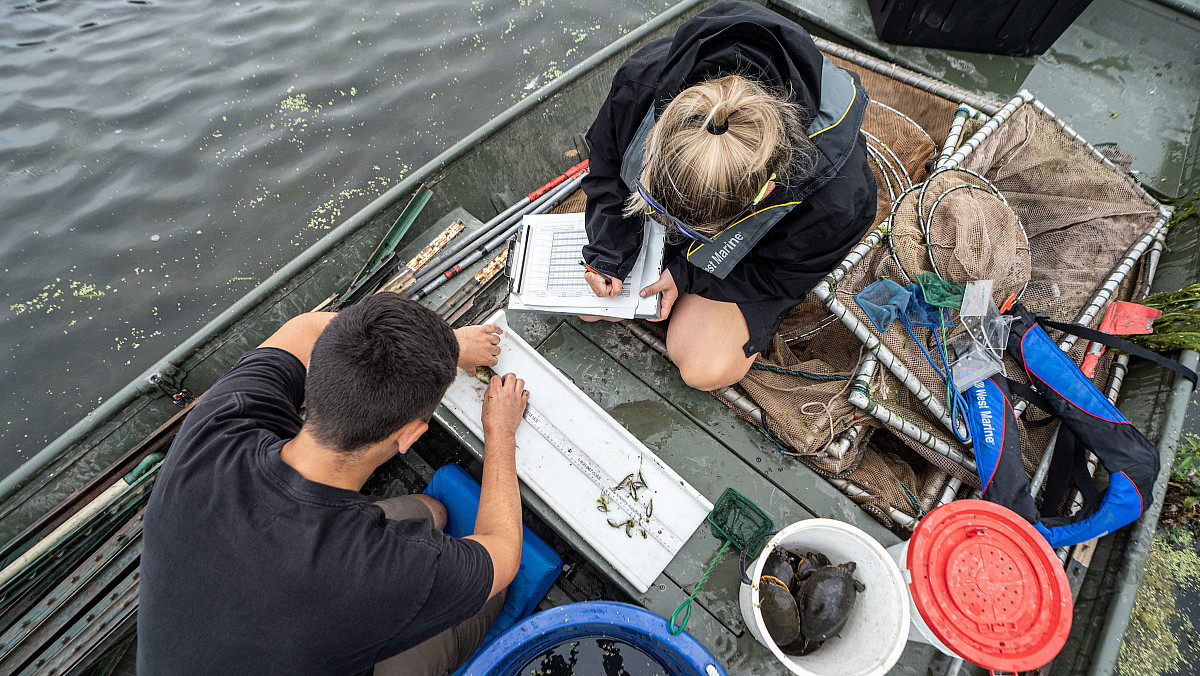 Students on a boat conducting research