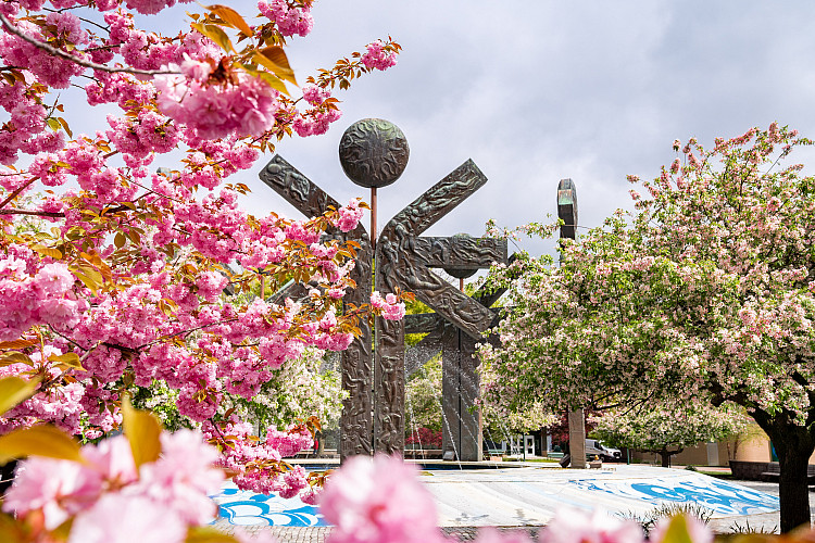 photo of special olympics fountain with spring flowers around it