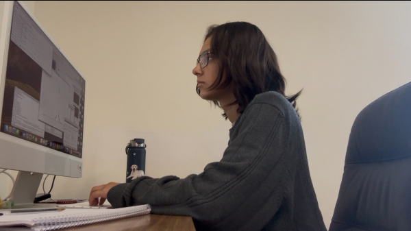 Elizabeth Kuhlkin at a desk typing on a computer