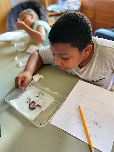 Brockport Summer Learning student inspecting an earthworm and taking notes for an assignment.