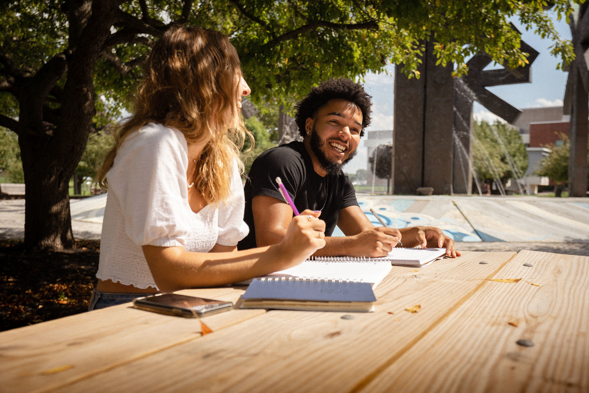 Students Working on a Group Project