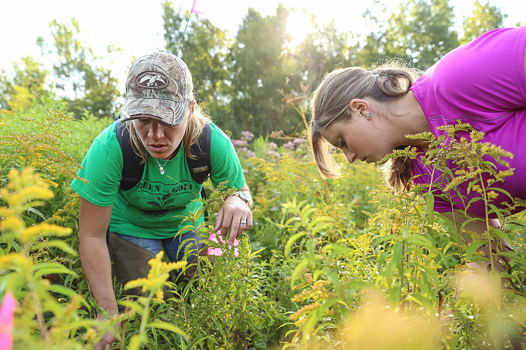Environmental Science students in SURP receive funding to work with faculty mentors' research projects over the summer months.