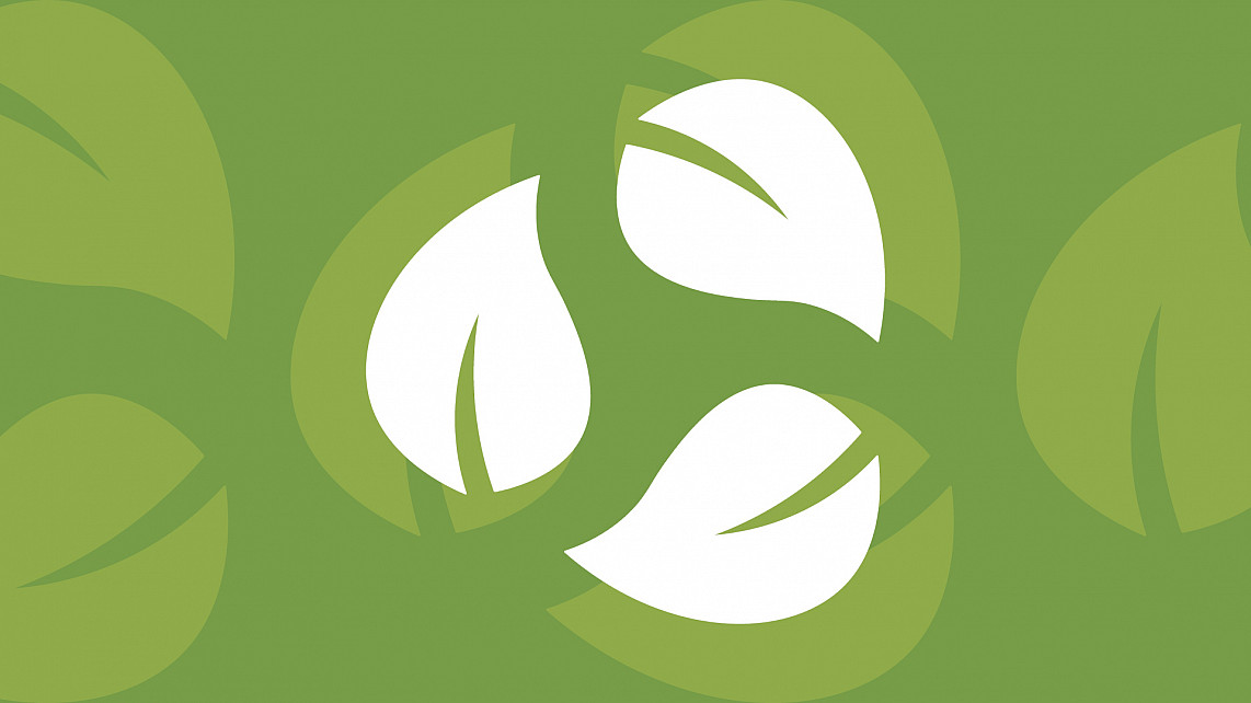 three leaves over a green background.