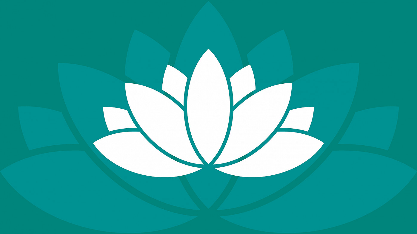 a flower on a blue background.