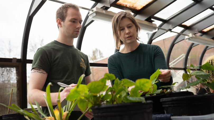 Kathryn Amatangelo helping a student conducting research on an invasive plant species in the green house located in Lennon Hall