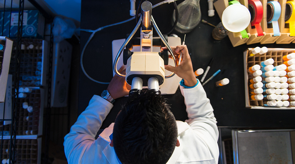 student looking into microscope