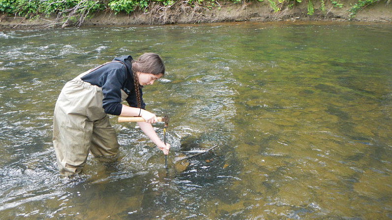 Lily Denecke hammering a stake into a body of water to measure the water level