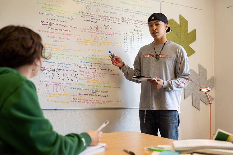 student tutoring in front of a whiteboard