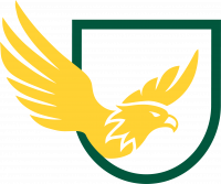 eagle ancillary logo