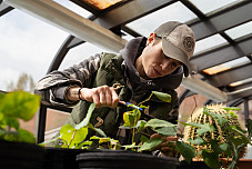 environmental science student in the greenhouse
