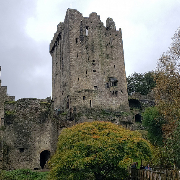Blarney Castle compliments of Gabrielle McGarvey.