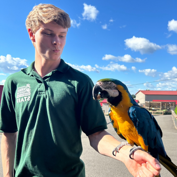 Nathan Franklin pictured with the Blue and Gold Macaw