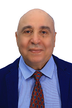 M. Lakehal-Ayat Profile Picture